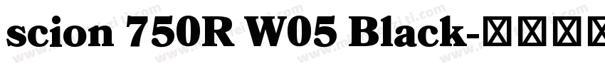 scion 750R W05 Black字体转换